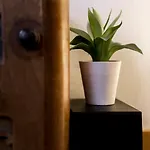 Authentique Studio Au Coeur Du Vieux Lyon Ail