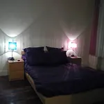 Apartment With One Bedroom In Lyon, With Wonderful City View And Wifi