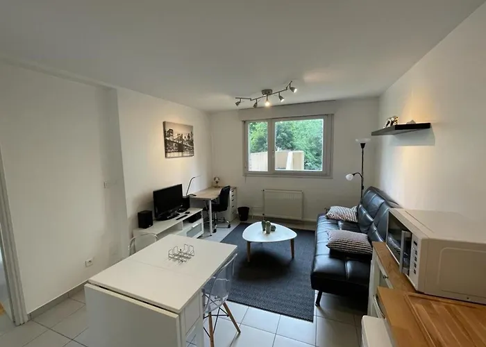 Appartement Lyon 8 Proche Metro