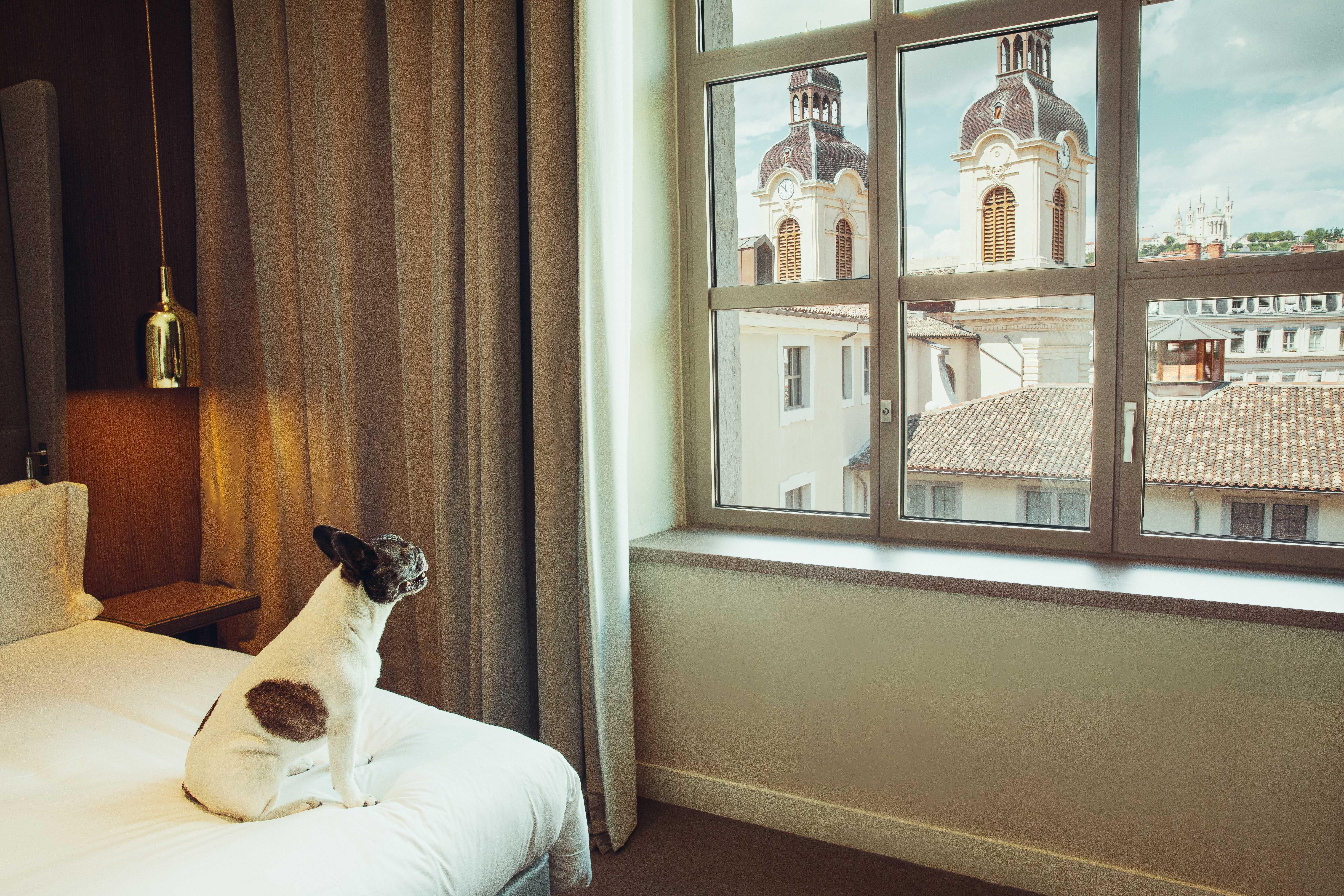 Hotel Intercontinental - Dieu, An Ihg