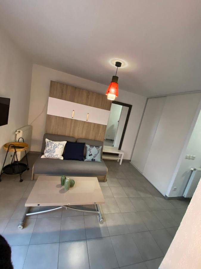 Chic Little Boheme Proche Hopitaux, 15 Mn Du Centre Appartement Lyon