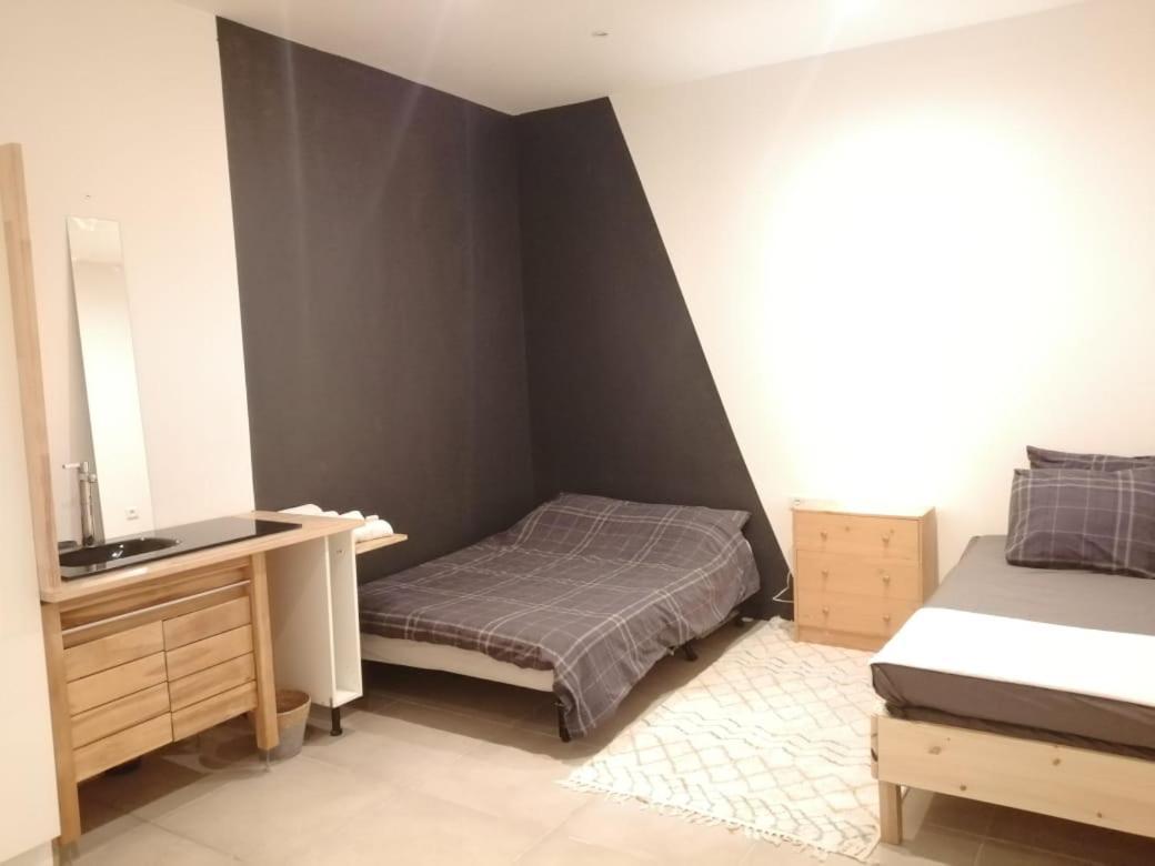 Homestay Loft Viarhona, Grand Loft En Centre-ville