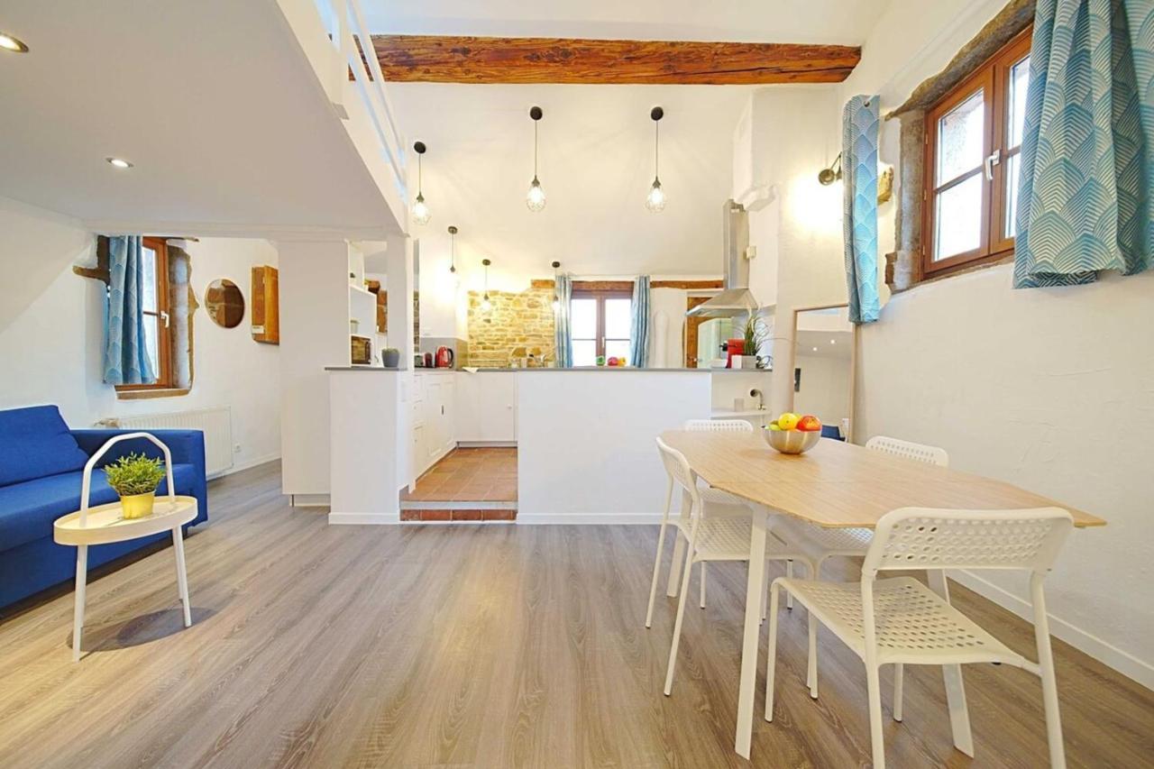 The Fernand-panoramic View-sathonay-terreaux Apartamento