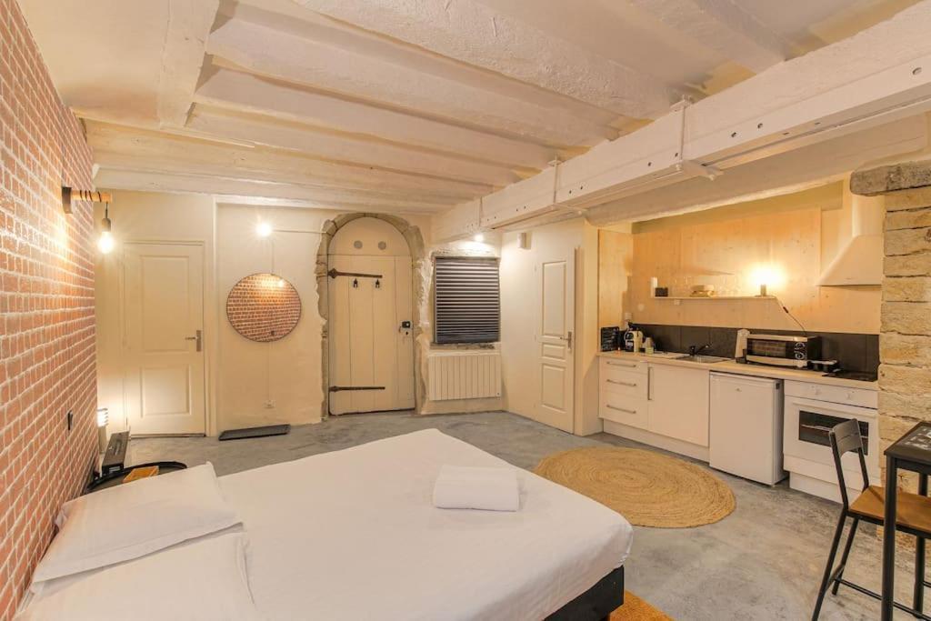 Industrial-style With Bathtub, Vieux-lyon Apartment Lyon