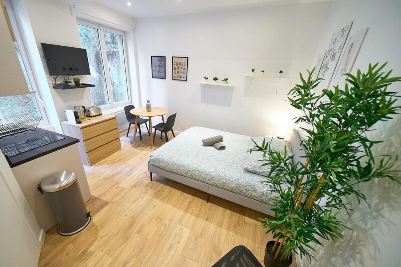 Apartment Le Petit Pierre Scize - Quais De Saone *