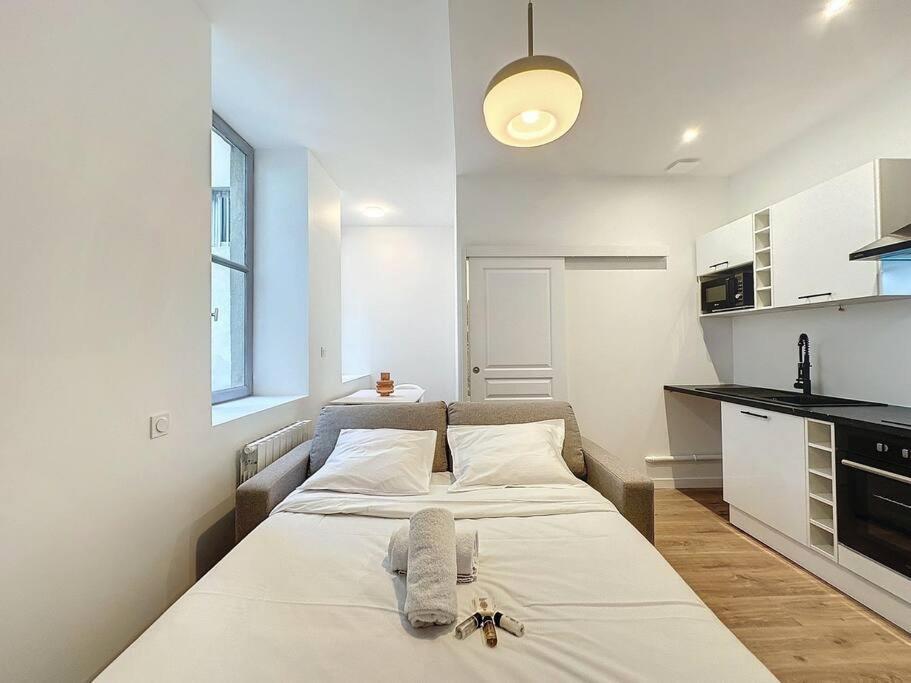 Cosy Studio, Centre Thomassin 1 * Lyon