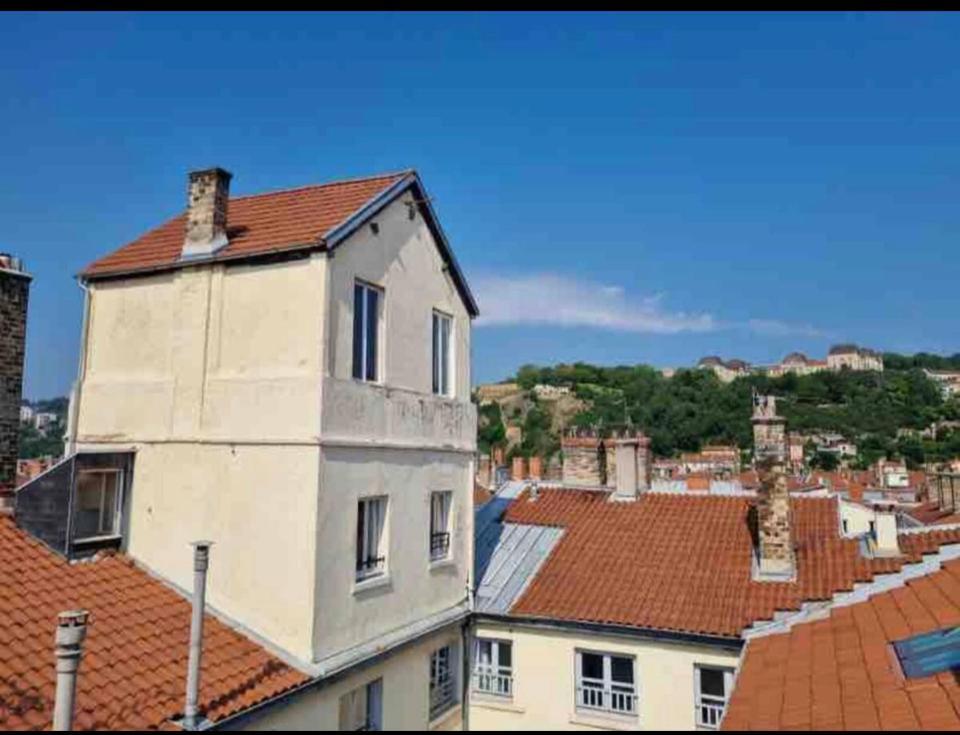 Unique! Maison Sur 1 Toit Avec Vue Extraordinaire! * Lyon