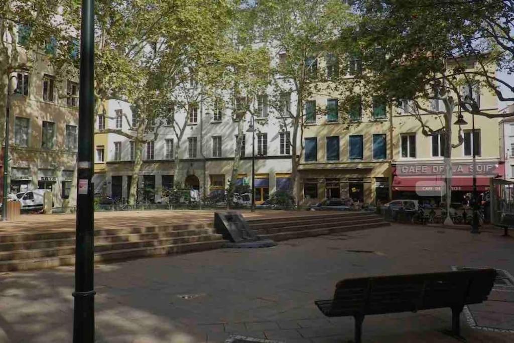 Petit Cine Croix-roussien Apartment *