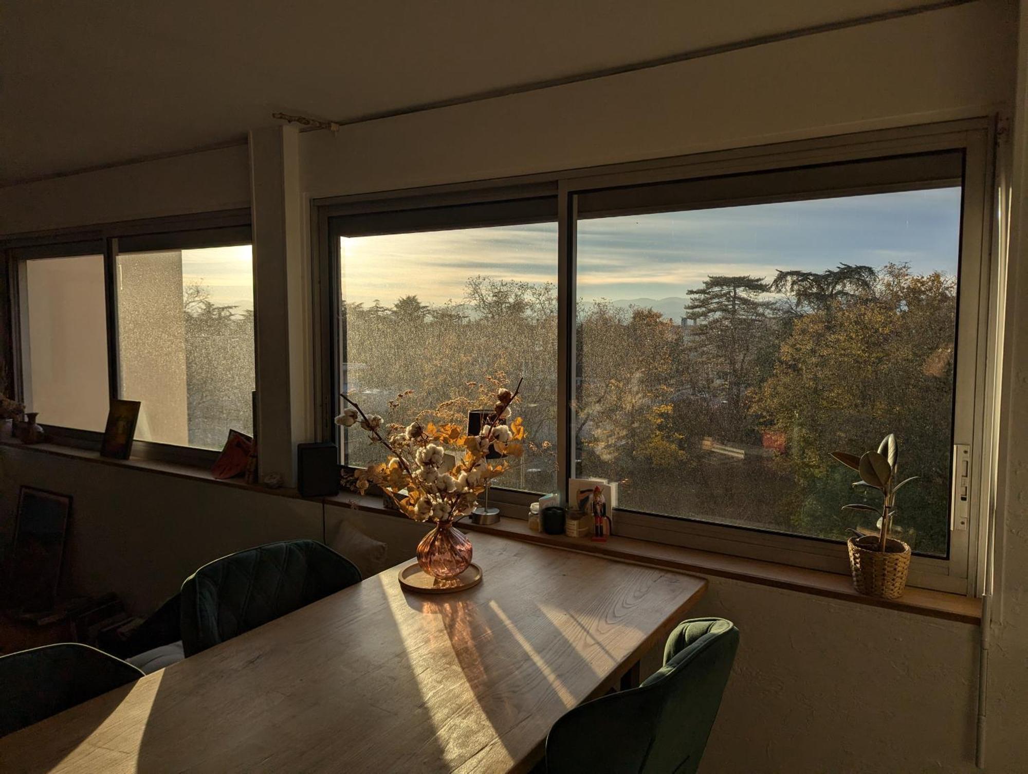 T3 Lumineux Avec Vue Panoramique - Point Du Jour * Lyon