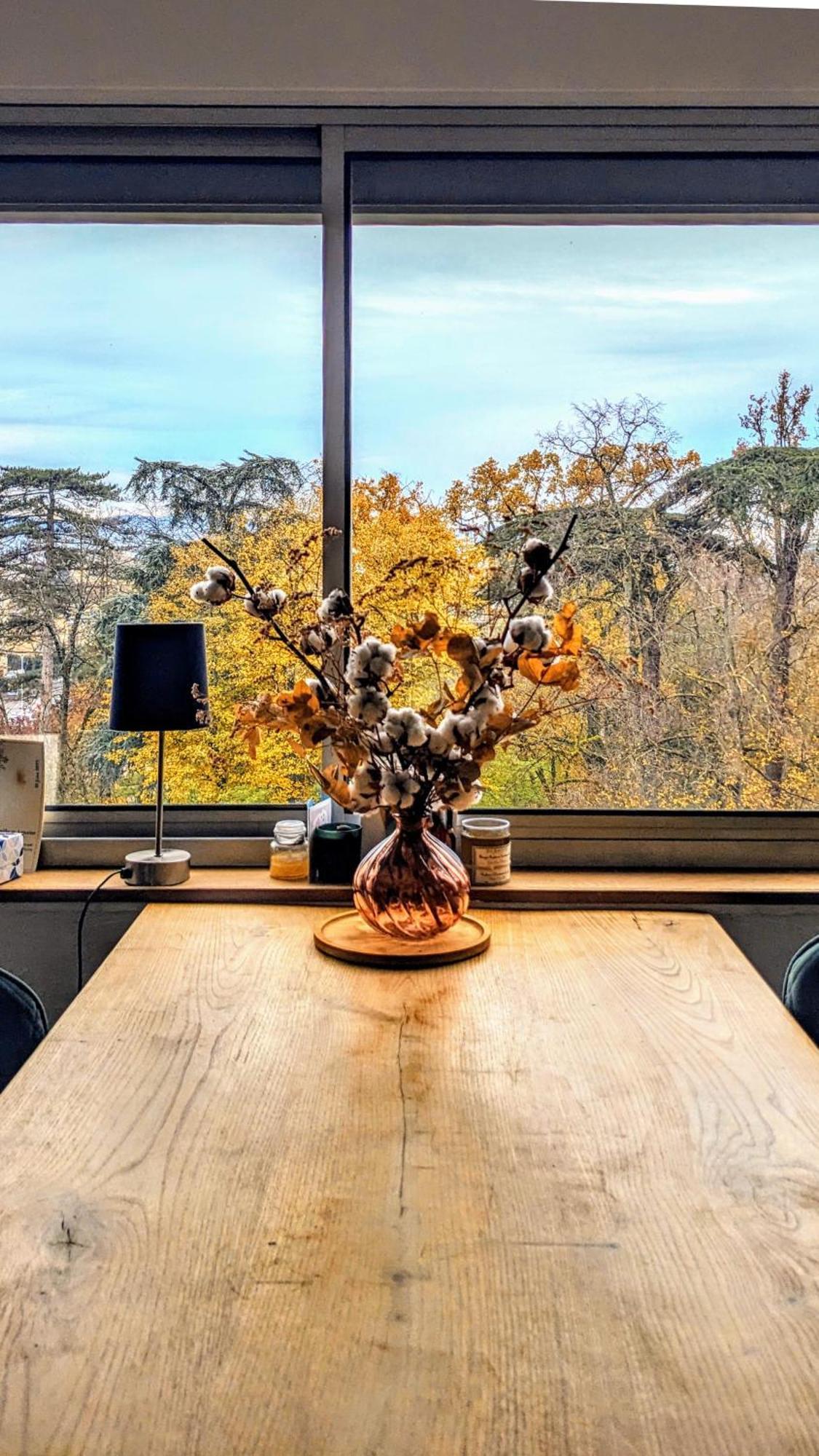 T3 Lumineux Avec Vue Panoramique - Point Du Jour Appartement