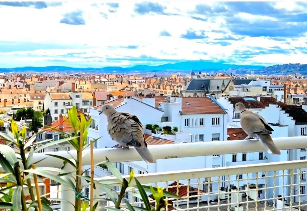 Apartment Plein Sud Terrasse Climatisation Garage Netflix *