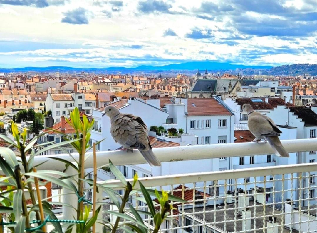 Plein Sud Terrasse Climatisation Garage Netflix Apartment Lyon