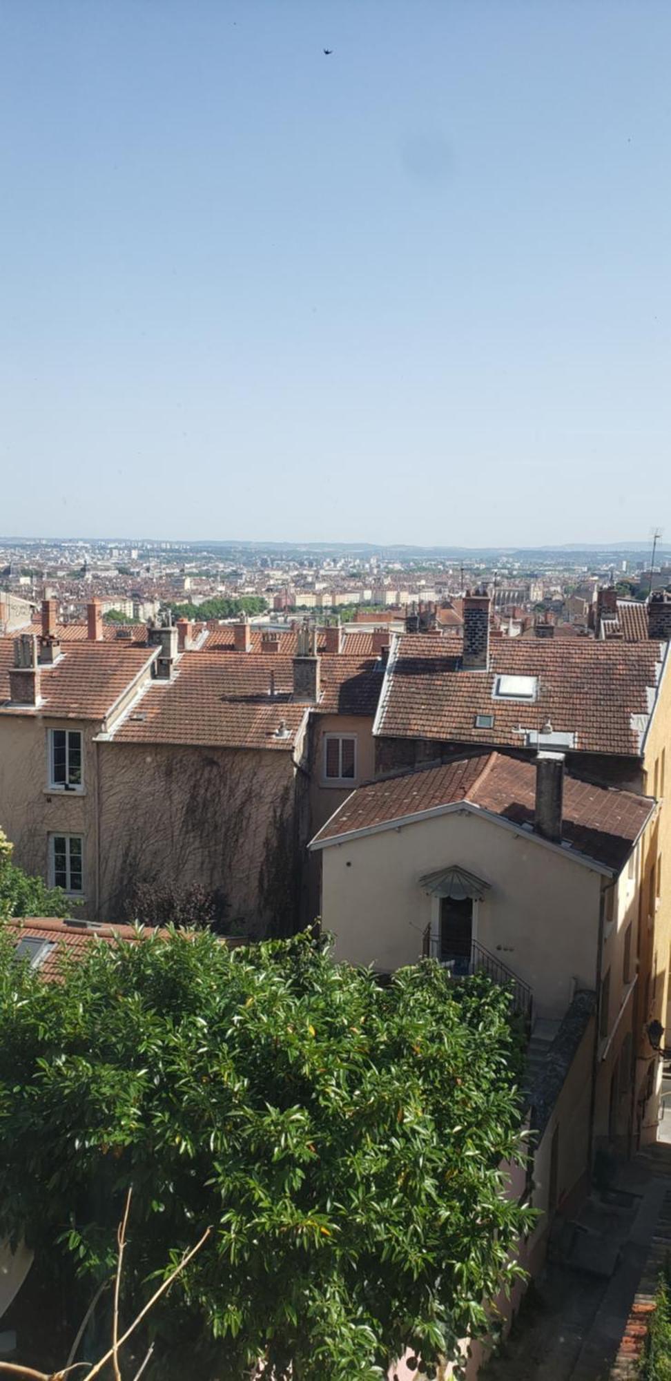 Charming With A View Lyon
