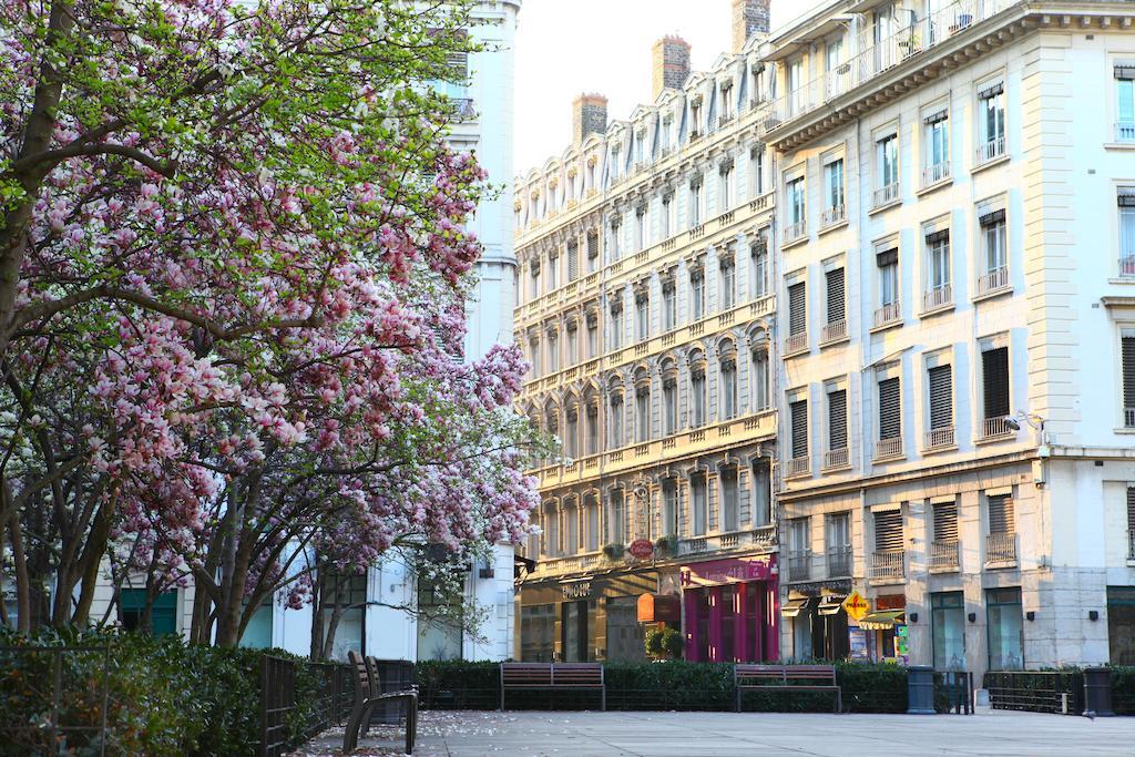 Hotel Des Celestins 3*