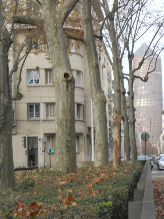 Le Gambetta Apartment *