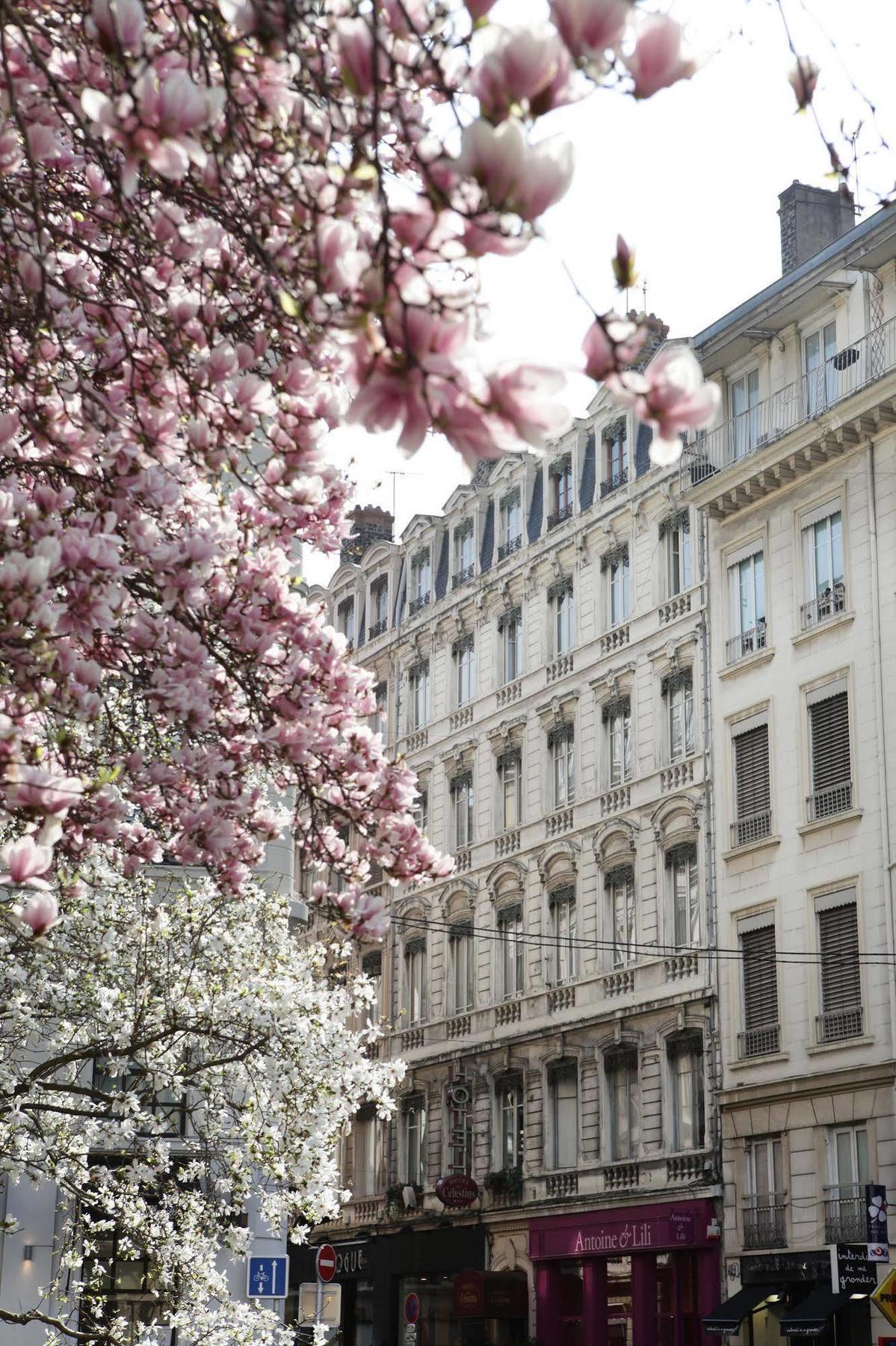 Des Celestins 3* Lyon