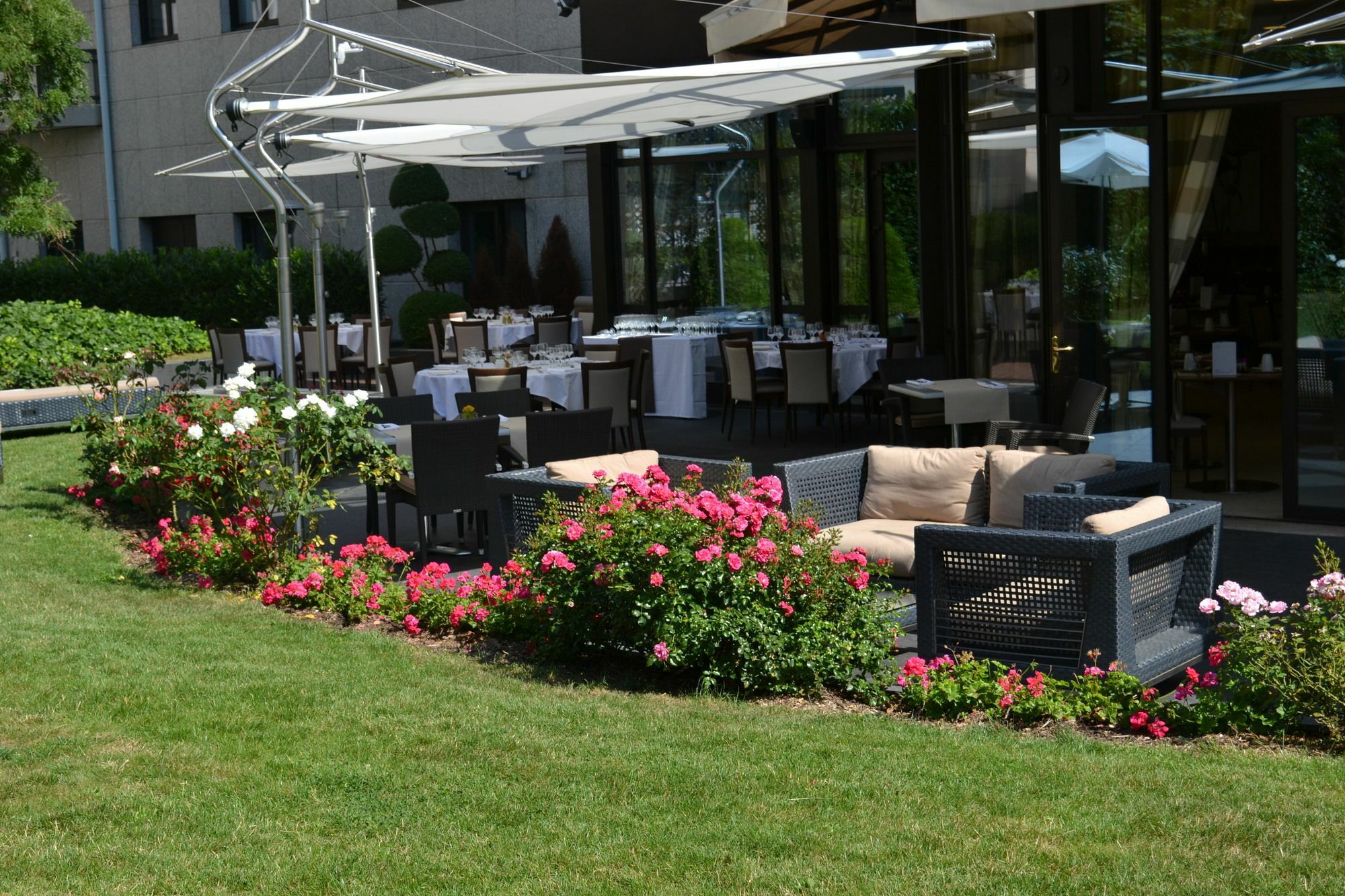 Warwick Reine Astrid -