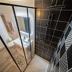 Spacious Renovated Loft - University - Guillotiere