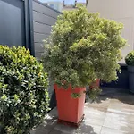 La Bonneterie Grand Appartement Part Dieu De Charme Pour 8 Personnes