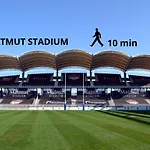 Lionne-Stade Du Lou
