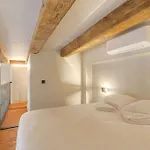 Duplex Lumineux Et Authentique, Vieux-Lyon
