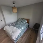 Chambre A Louer