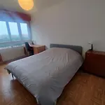 Grand Appartement Lumineux Et Central