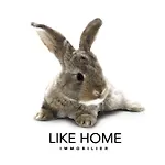 Like Home - Sainte Catherine