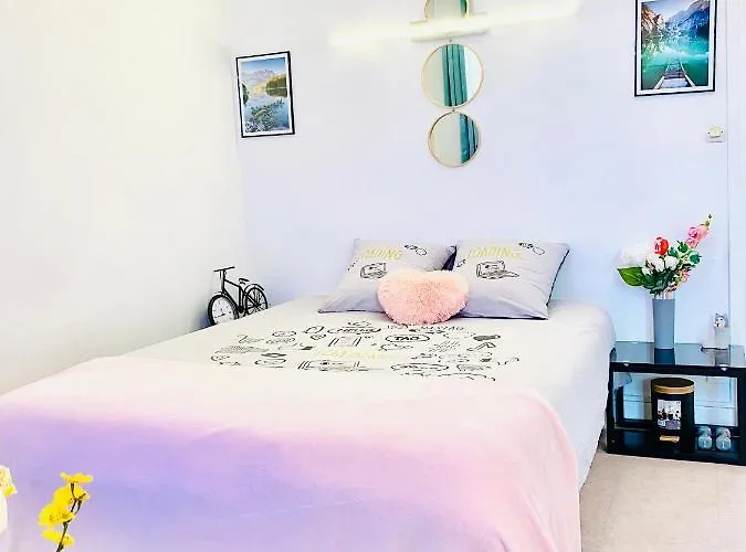 LYON Full Entier Appartement