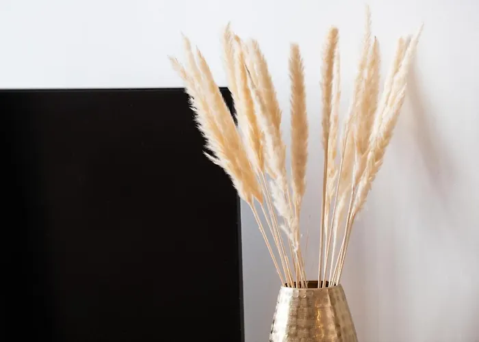La Suite Sépia - Superbe appartement tout confort au coeur du Vieux Lyon