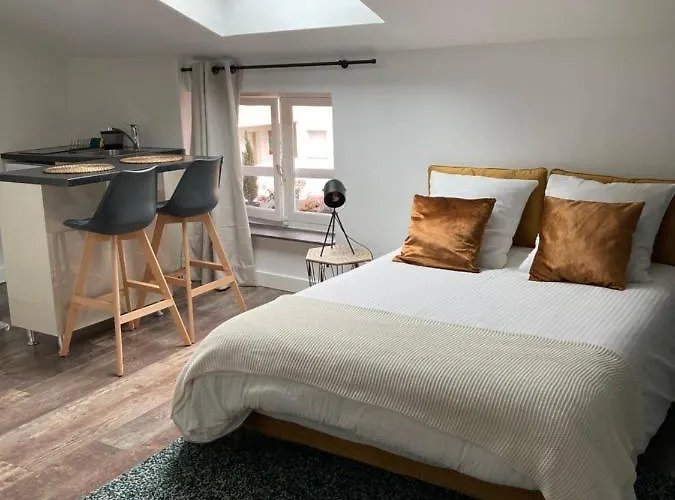 Studio Cocooning Et Refait A Neuf. Lyon 06