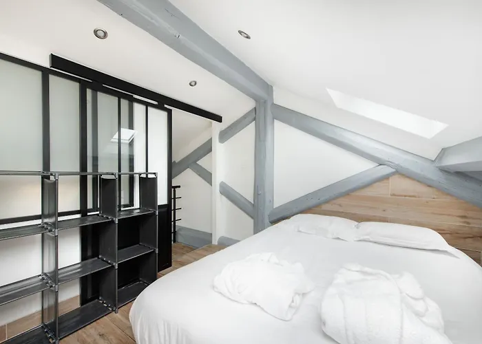 Cosy Duplex Renove Parking Gratuit Lyon 9