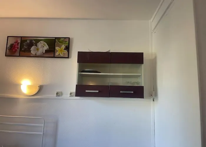 Appartement Croix Rousse 69004