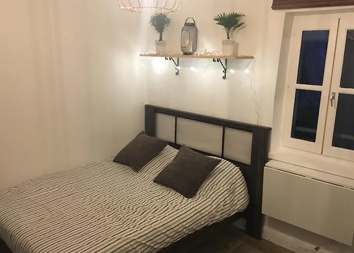 Cozy Studio For 2 People Blandan Sathonay Terreaux