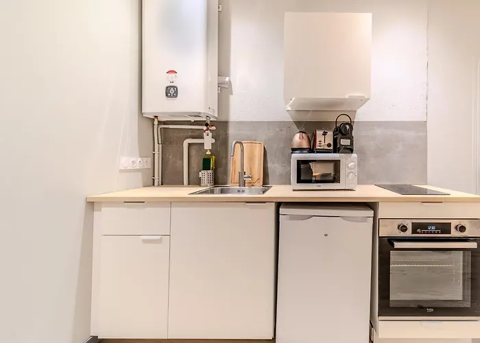 Charming 1-Bedroom Apartment Across From Halles Paul Bocuse & Part-Dieu