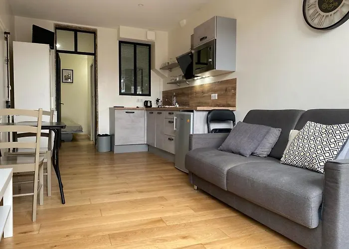 Lyon Standing Historic City Apartment