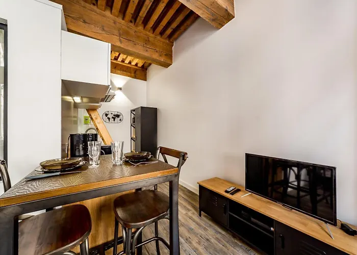 Cosy Studio Ideal Au Coeur De Lyon Ail
