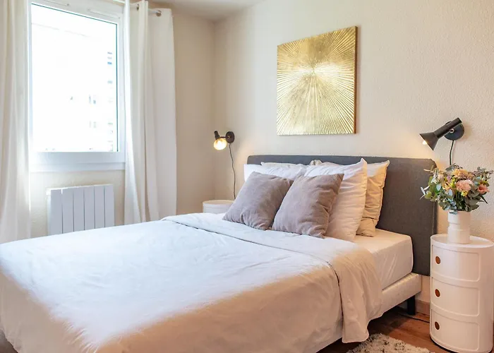 Lyon Centre Appartement Meuble