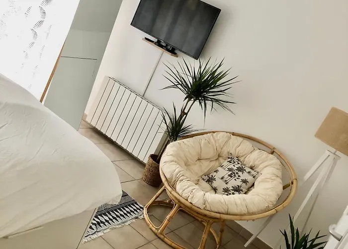 Studio Cosy, Lyon, Avec Garage Prive