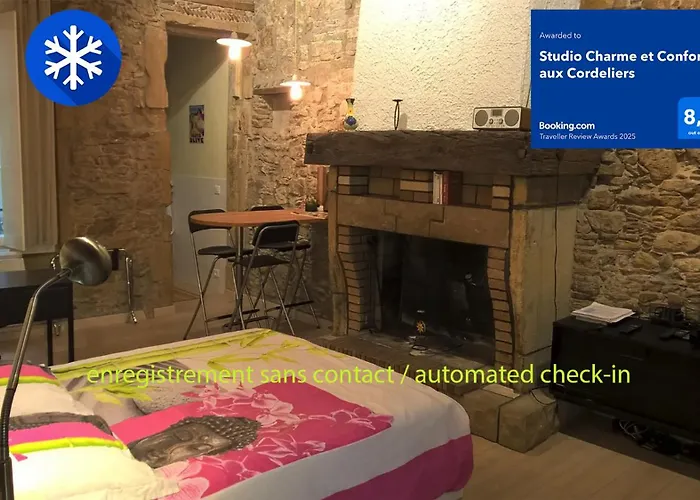 Studio Charme Et Confort Aux Cordeliers