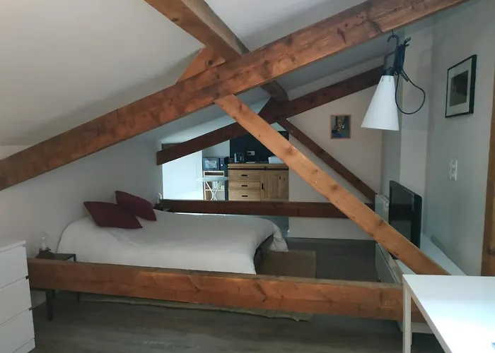 Attic One Bedroom Flat In Old Town Lyon
