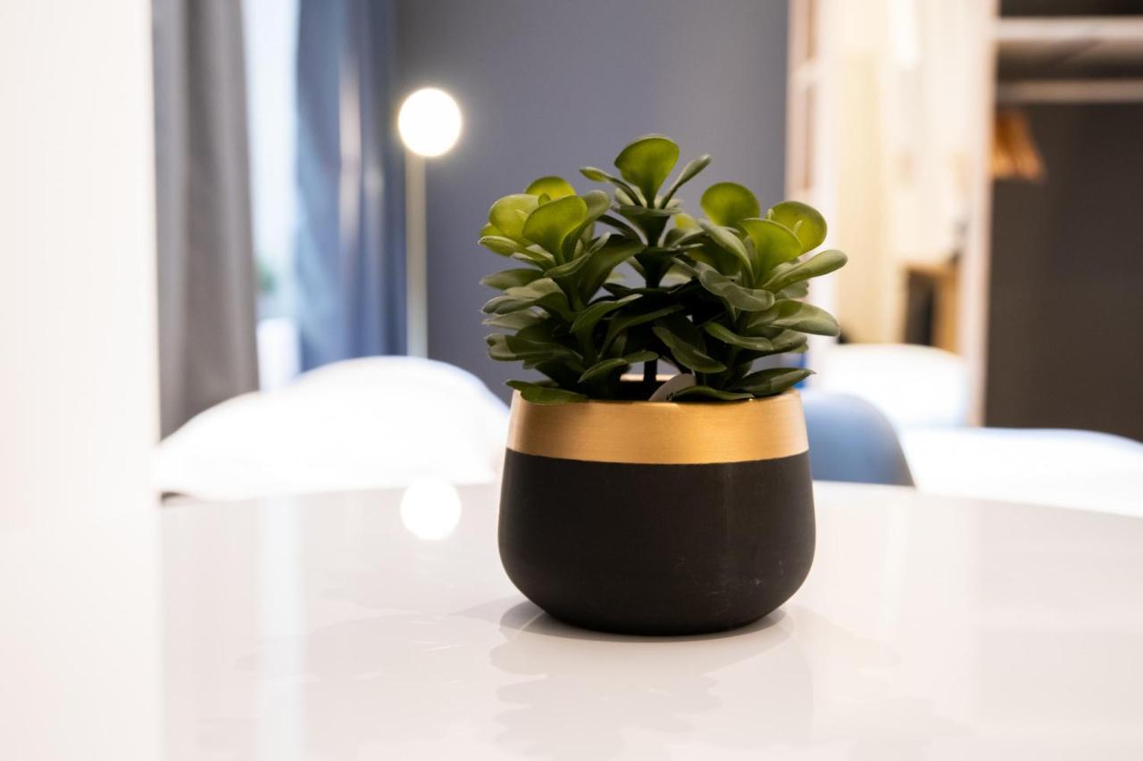 Apartment Le St Germain - Petillant Decore Avec Gout En Centre-ville *