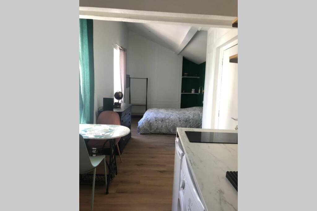 Apartment Sous Les Toits Lyon