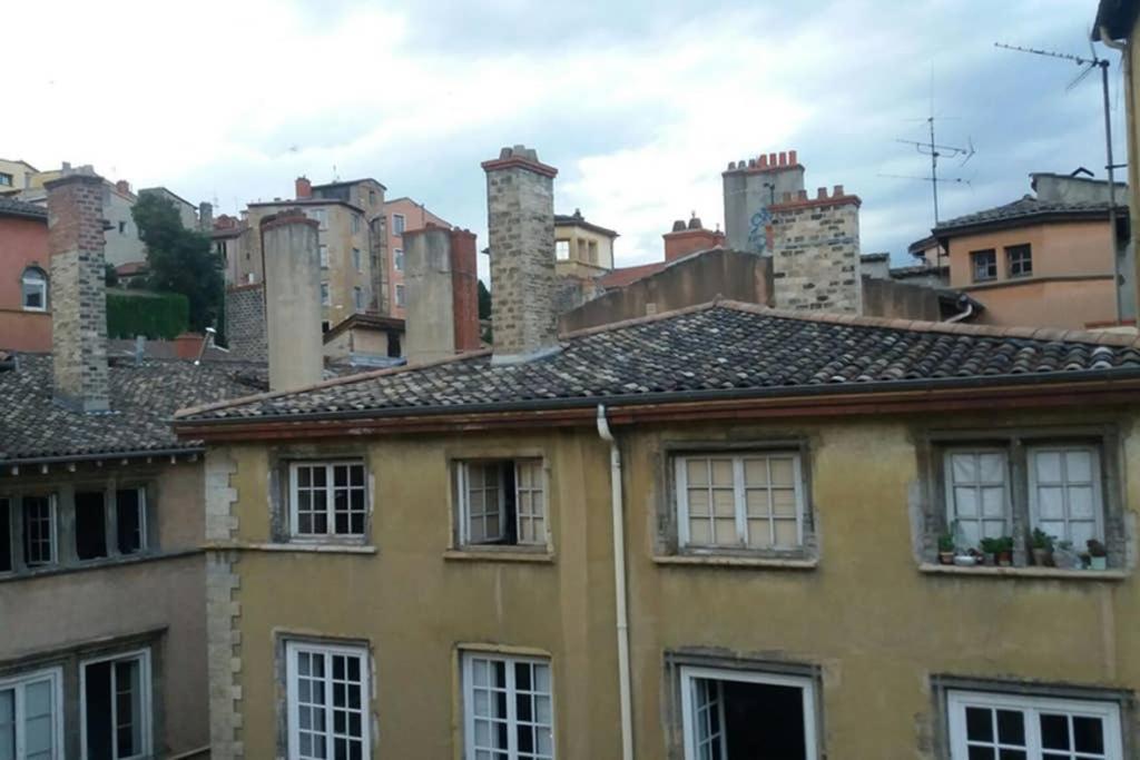Le Nid Des Amants Du Vieux-lyon Apartment *