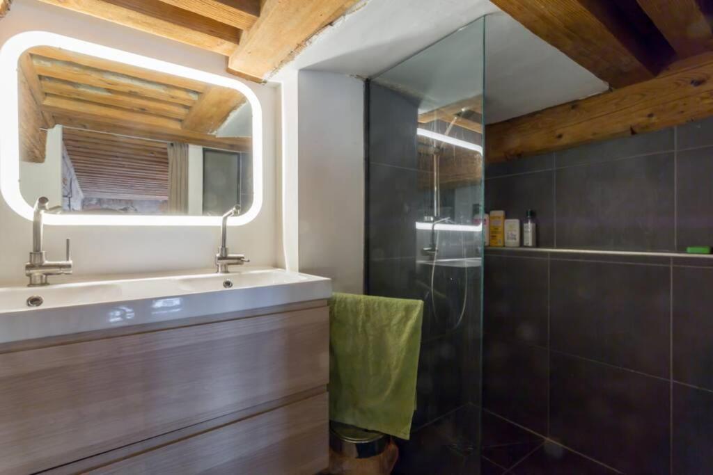 Appartement Duplex Le Vorace *