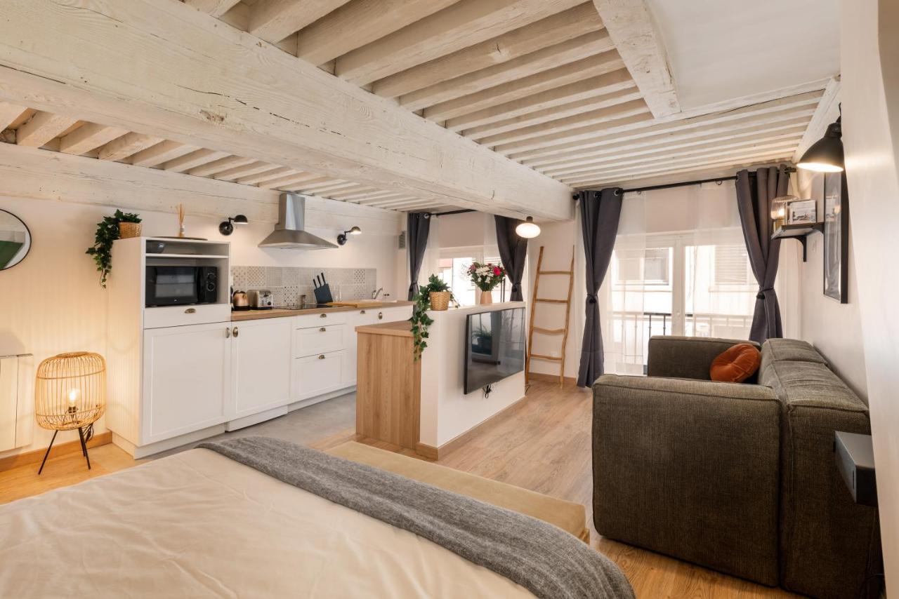 Les Cocon Des Pentes De La Soie Apartment