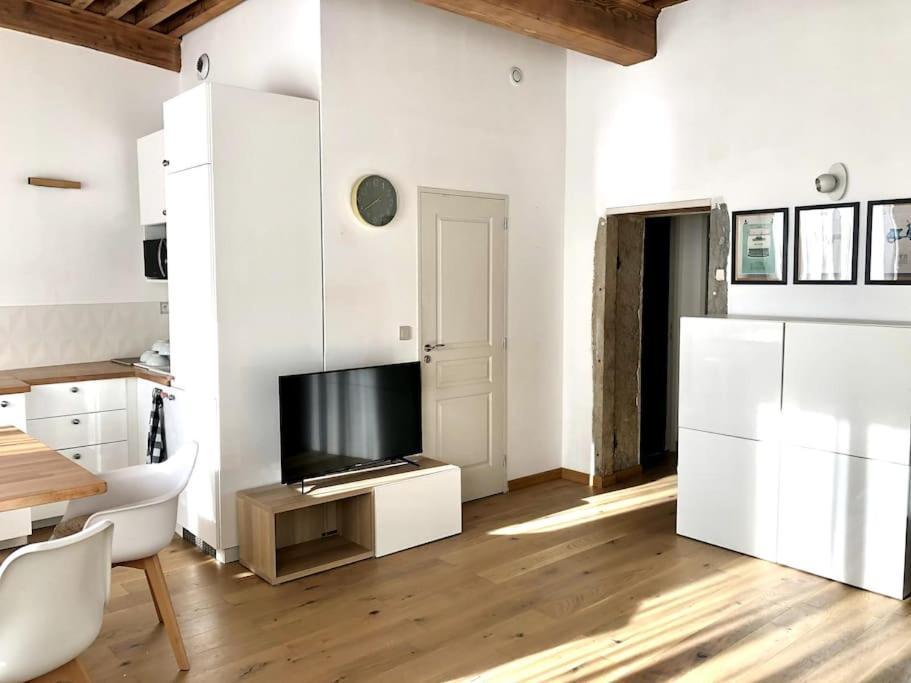 Le Canut De St Just Apartment Lyon