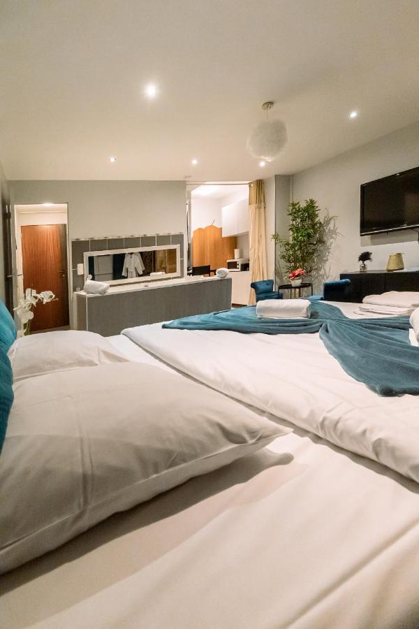 Cosy Avec Sauna Et Privatifs Appartement *