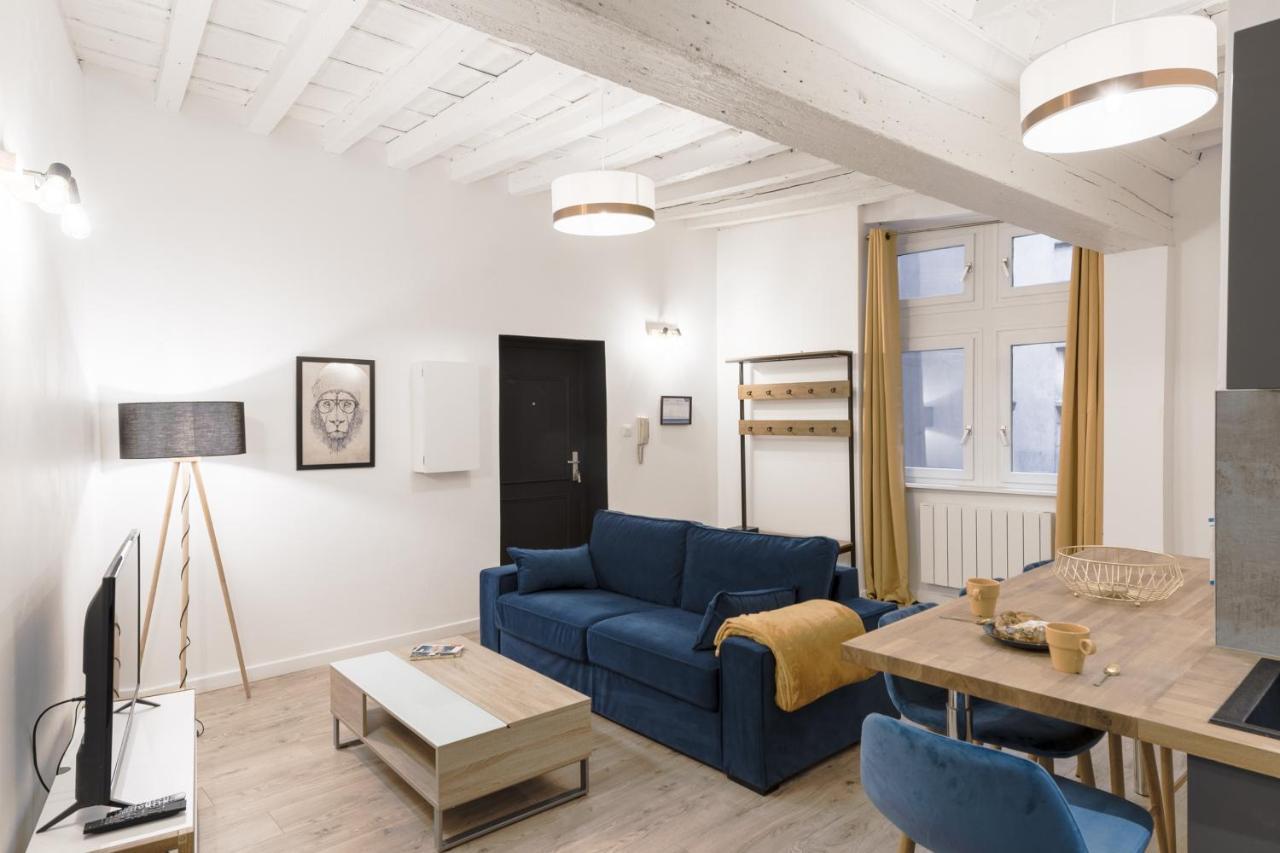 Le Nid Du Lion - Joli T2 Quartier St Georges Au Calme Apartment *