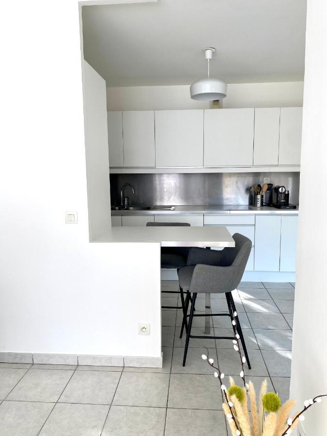 Apartment Quartier Vilette Paul Bert Box Garage *